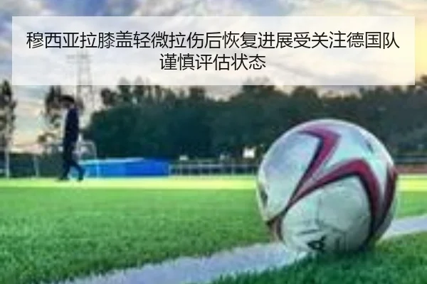 穆西亚拉膝盖轻微拉伤后恢复进展受关注德国队谨慎评估状态
